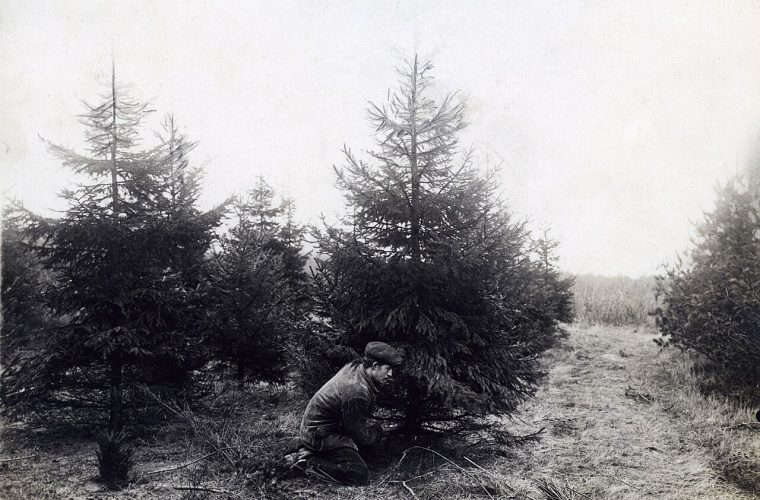 foto: unknown authorunknown author / public domain via wikimedia commons