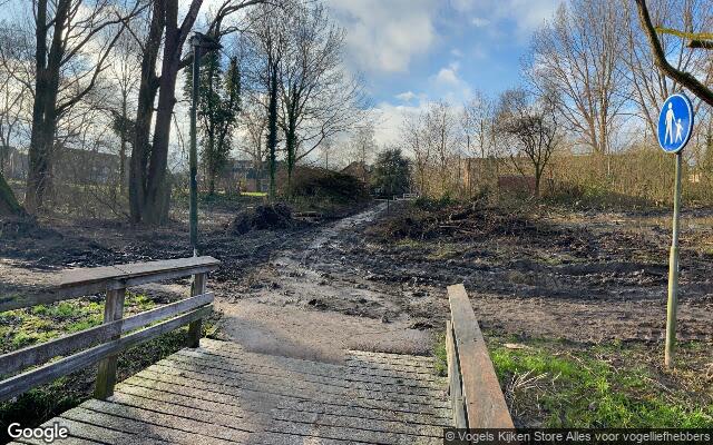 Speeltuin Wasbeer