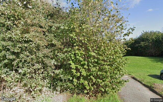 Speeltuin Ereprijs