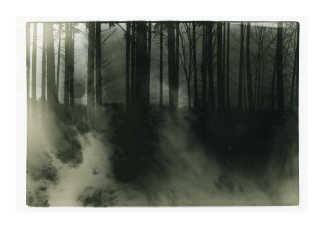 Life is Once. Forever. – Melanie van der Linde — museum-expo in het Gooi