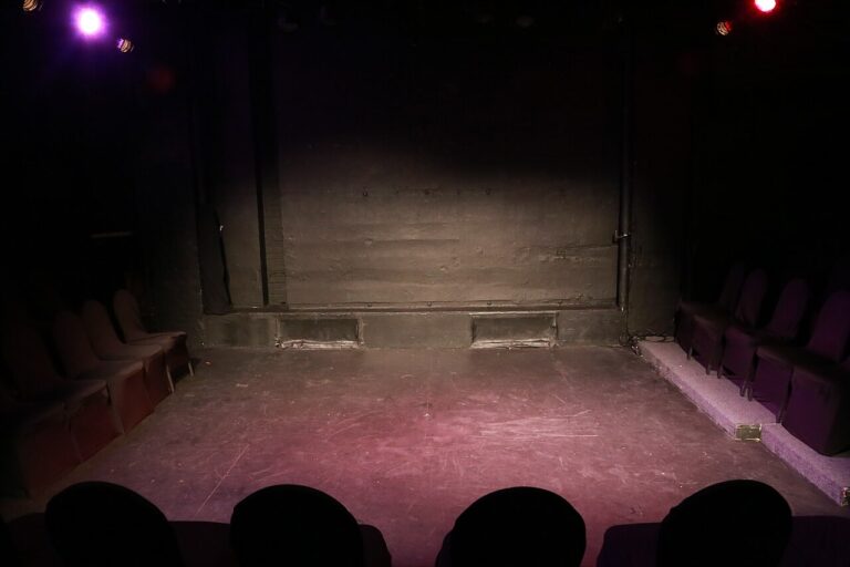 Max van den Burg – Maxikozi — theater in het Gooi