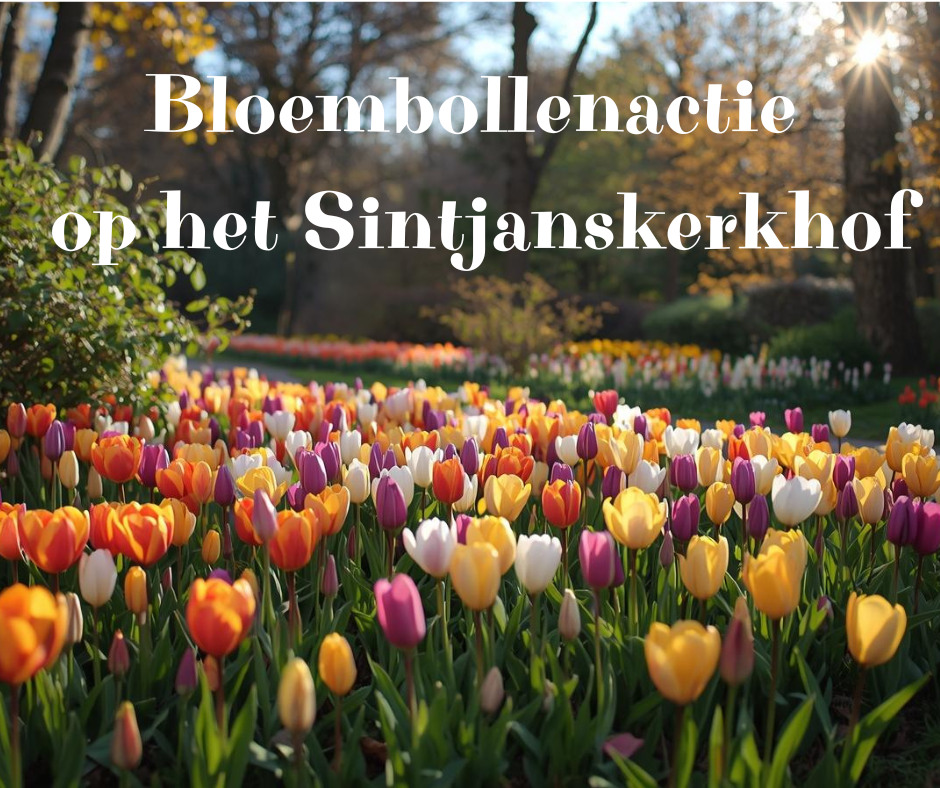 Bloembollenactie op het Sintjanskerkhof in het Gooi