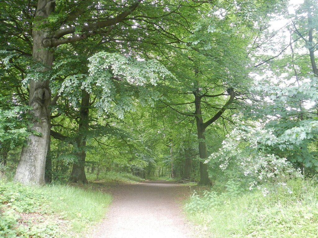 Wandelen door Huizen en bezoek woning Hansje Dol in het Gooi