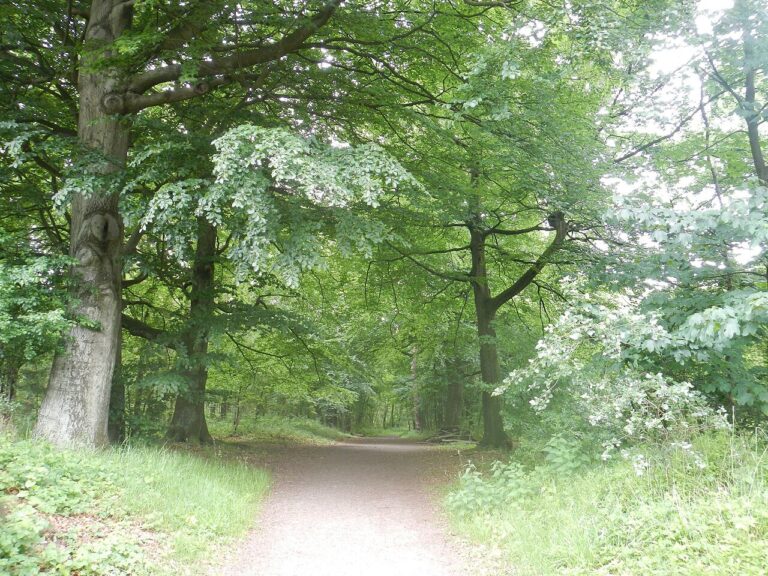 Wandelen door Huizen en bezoek woning Hansje Dol — Natuur in het Gooi