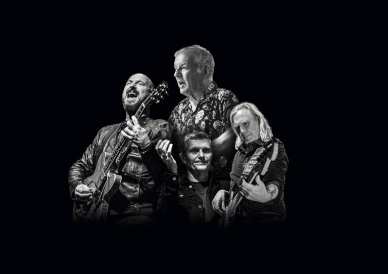 The Animals & Friends — muziek in het Gooi