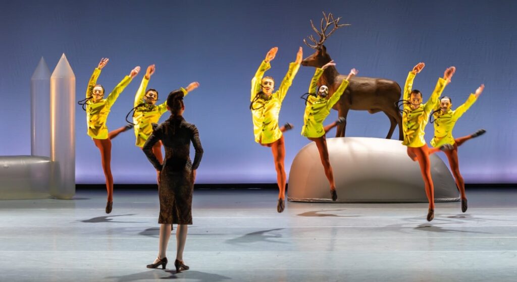 Swan Lake – Introdans in Weesp