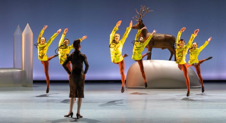 Swan Lake – Introdans — muziek in het Gooi