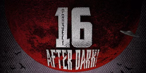 Project 16: After Dark! — muziek in het Gooi